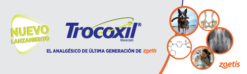 Trocoxil