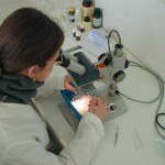 investigacion