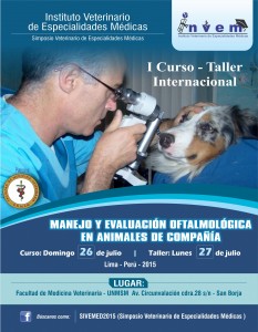 Afiche INVEM