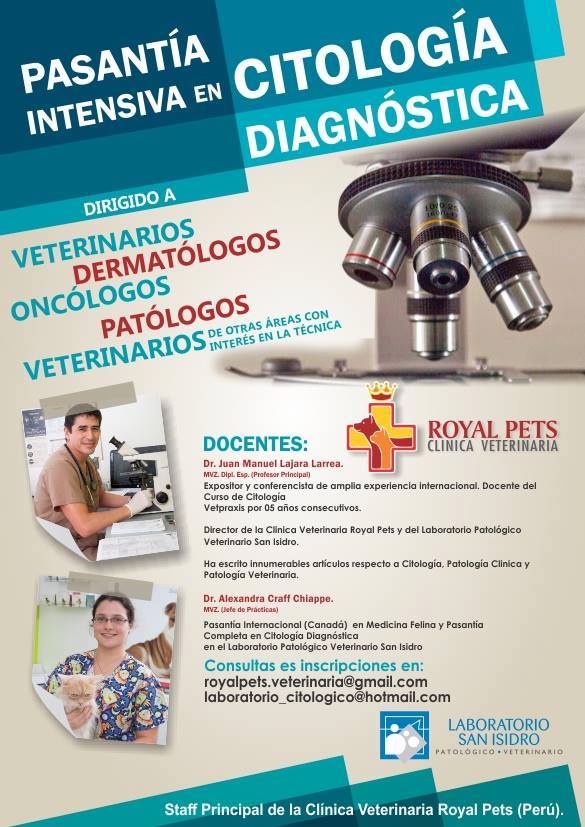 curso cito